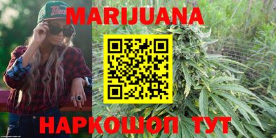 крисы Будённовск