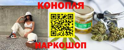 крисы Будённовск