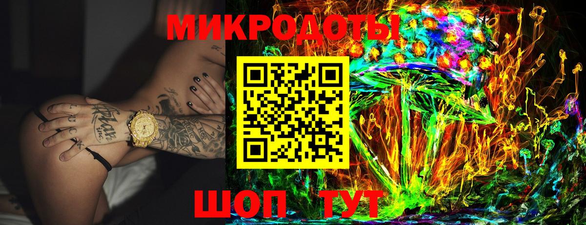 Галлюциногенные грибы Psilocybine cubensis Череповец